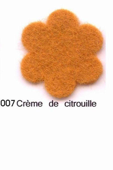 Feutrine Crème de Citrouille CP007